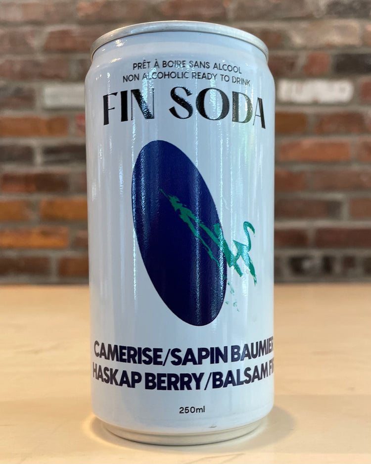 Camerise/Sapin Baumier - Sans Alcool - Fin Soda - Beau Dégât Bièrerie de Quartier