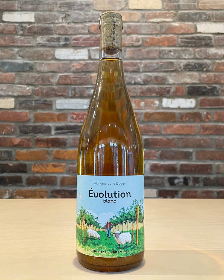 Évolution Blanc - Blanc - Vignoble de la Bauge - Beau Dégât Bièrerie de Quartier