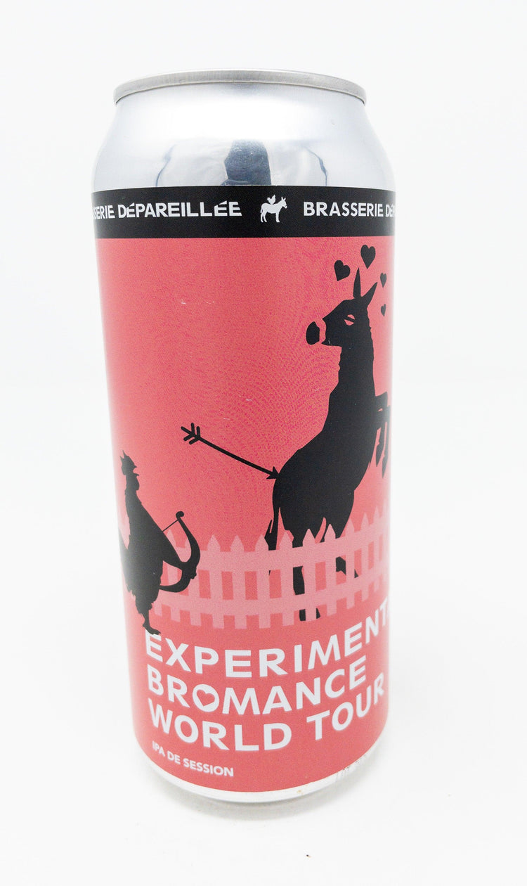 Experimental Bromance World Tour - Houblonnée - Brasserie Dépareillée - Beau Dégât Bièrerie de Quartier
