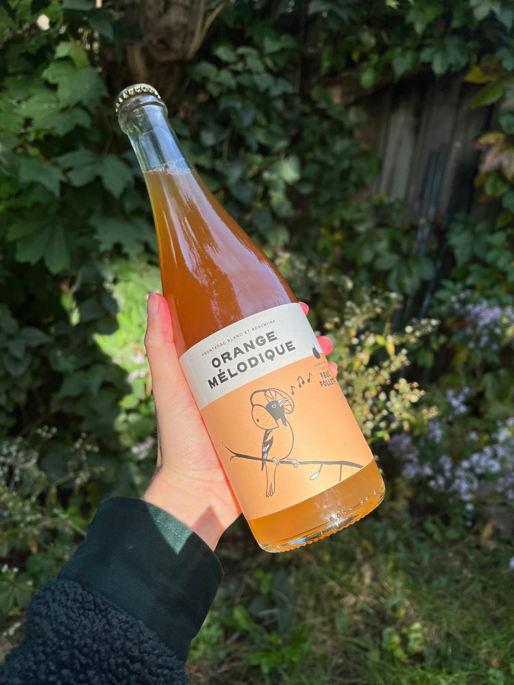 Orange Mélodique 2021 - Blanc - Domaine des Feux Follets - Beau Dégât Bièrerie de Quartier