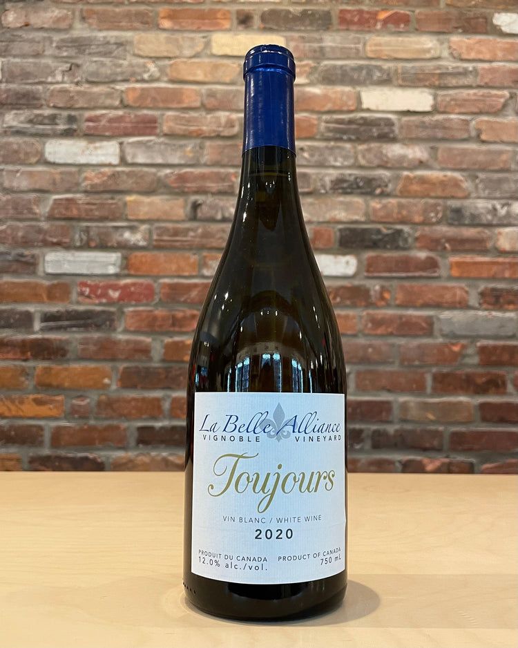 Toujours - Vin Blanc - Blanc - Vignoble La Belle Alliance - Beau Dégât Bièrerie de Quartier
