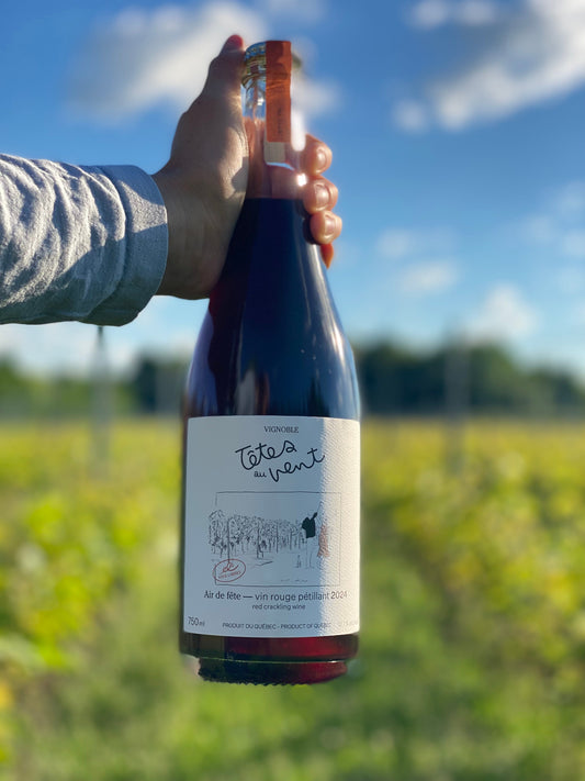 Air de fête rouge (pét-nat) — Vignoble Têtes au Vent