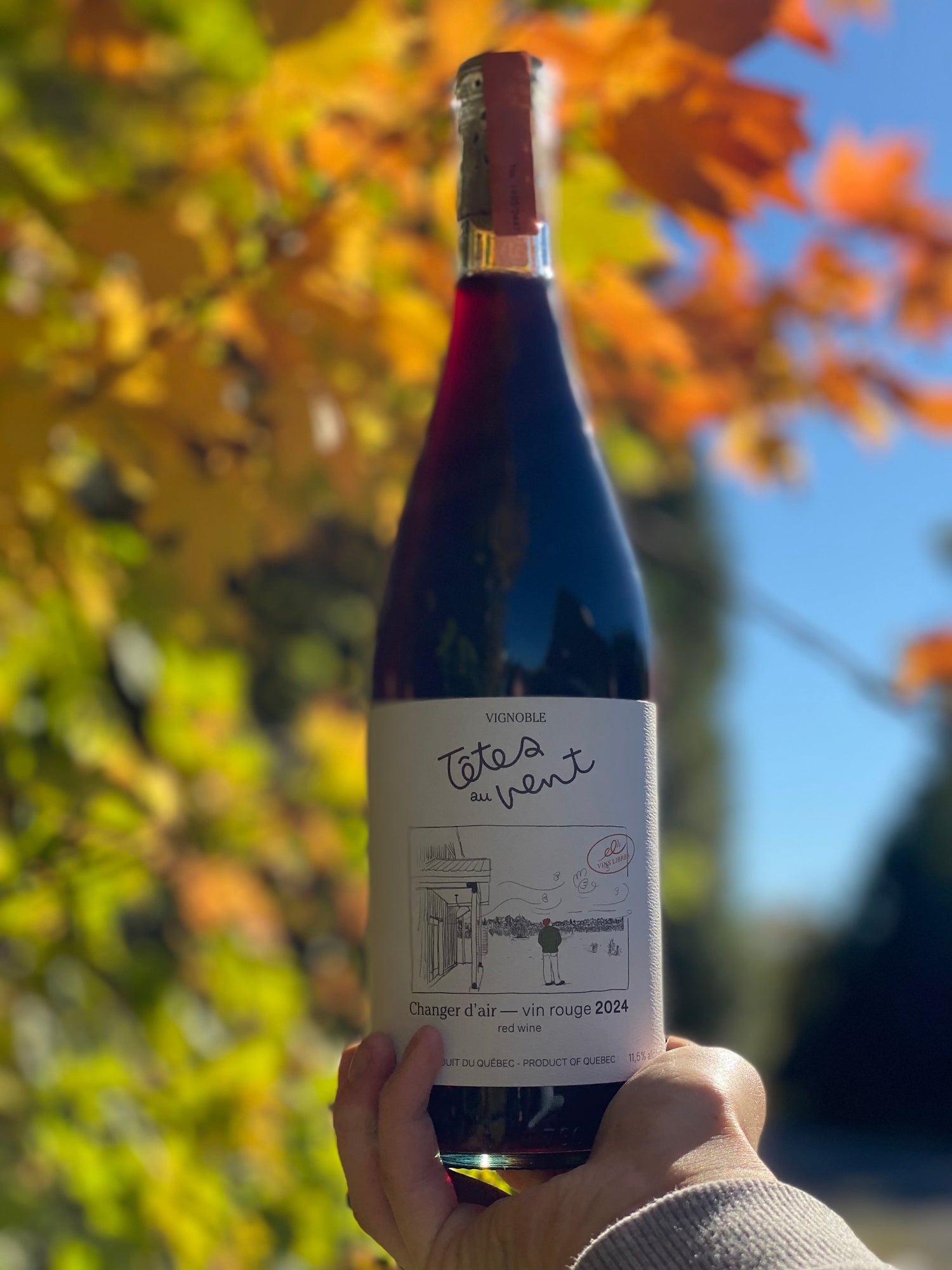 Bouteille de Changer d'air, rouge du Vignoble Têtes au Vent