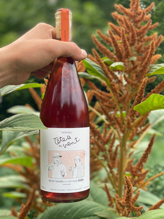 Bouteille d'Air de famille, rosé du Vignoble Têtes au Vent