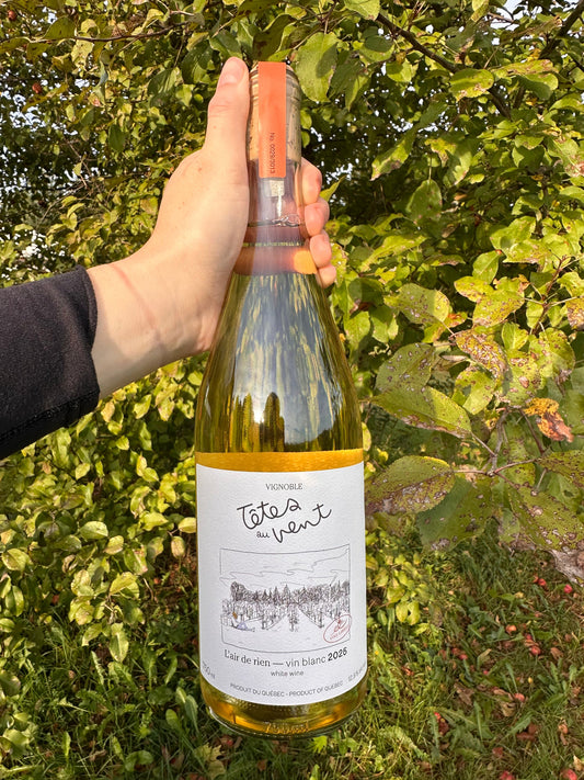 Bouteille de L'air de rien 2025, blanc du Vignoble Têtes au Vent