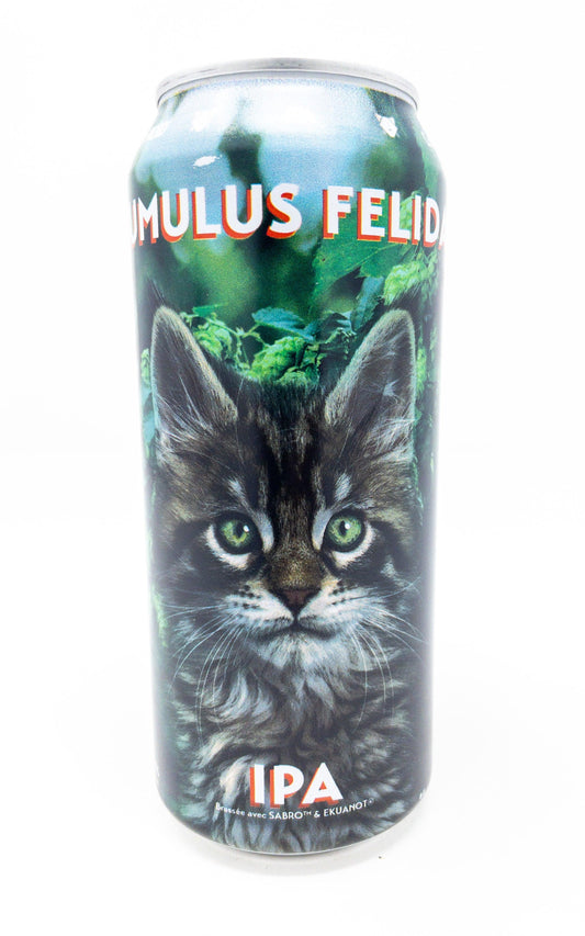 Humulus Felidae - Houblonnée - Noctem Artisans Brasseurs - Beau Dégât Bièrerie de Quartier