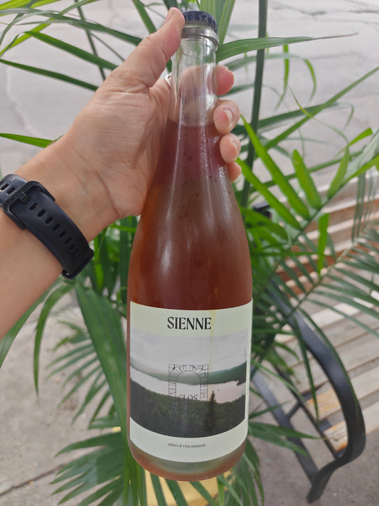 Sienne